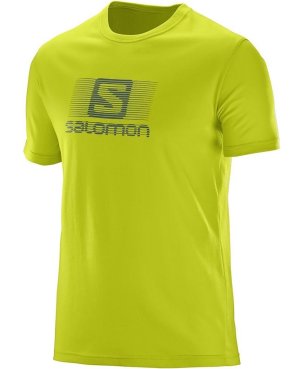  Футболка Salomon Blend Logo SS, фото 1 