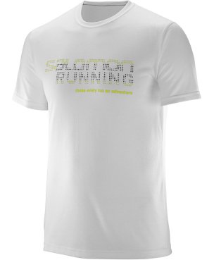  Мужская футболка Salomon Running Graphic, фото 1 