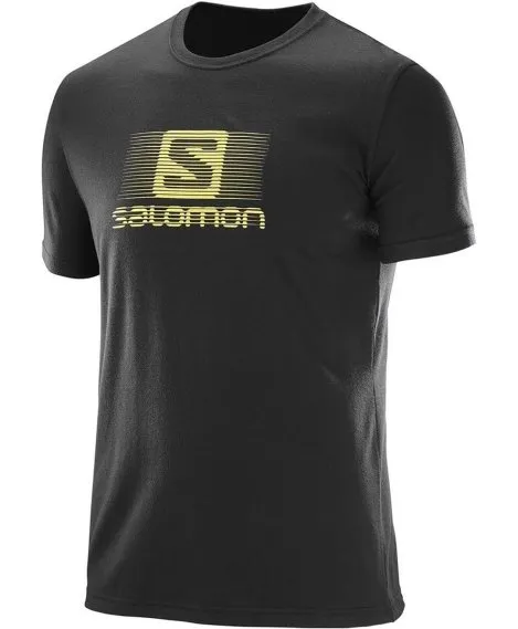  Мужская футболка Salomon Blend Logo SS, фото 1 