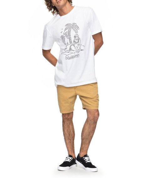  Мужская футболка QUIKSILVER CLASSIC SAYIN, фото 2 