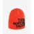 Шапка The North Face Highline Beanie